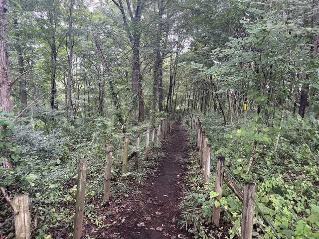 小宮公園内側遊歩道